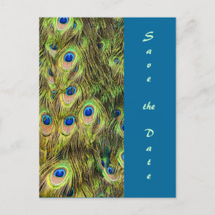 Peacock Feather Save the Date Card Ankündigungspostkarte