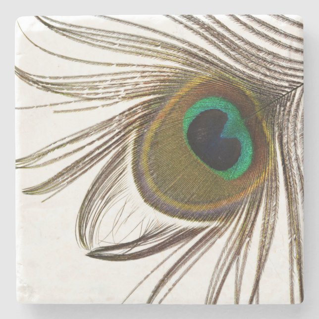  Peacock Feather    Steinuntersetzer (Vorderseite)