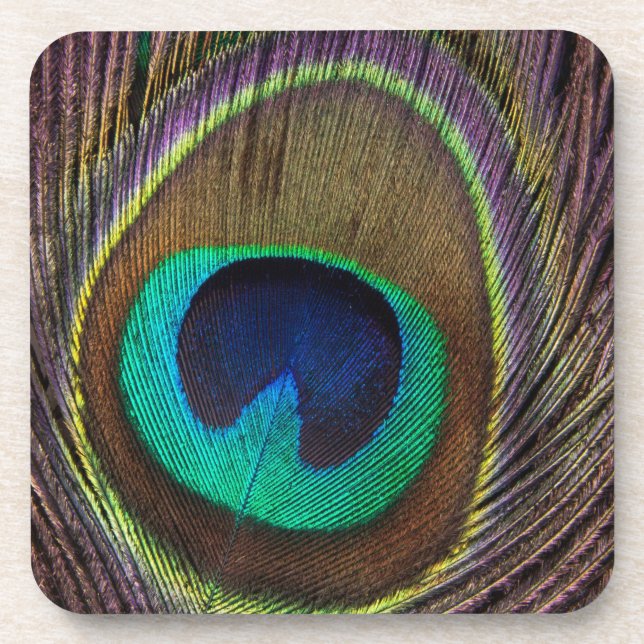 Peacock Feather Untersetzer (Vorderseite)