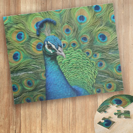 Peacock Feathers