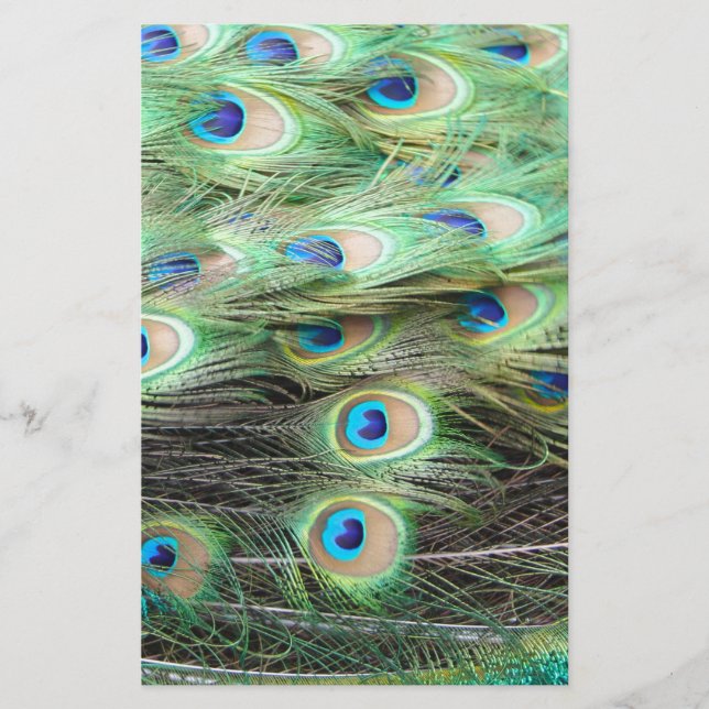 Peacock Feathers (Vorderseite)