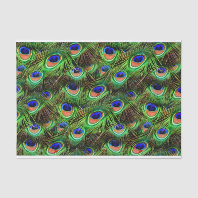 Peacock Feathers 7A-B Optionen Seidenpapier (Vorderseite)