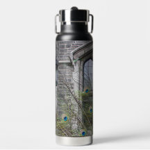 Peacock Feathers and Gothic Windows