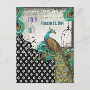 Peacock Feathers Birdcage Save the Date Ankündigungspostkarte