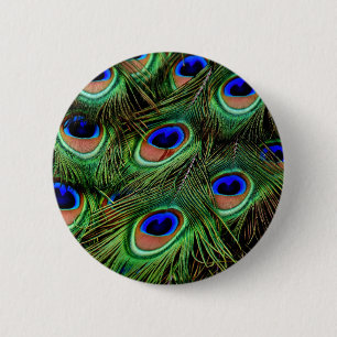 Peacock Feathers Button