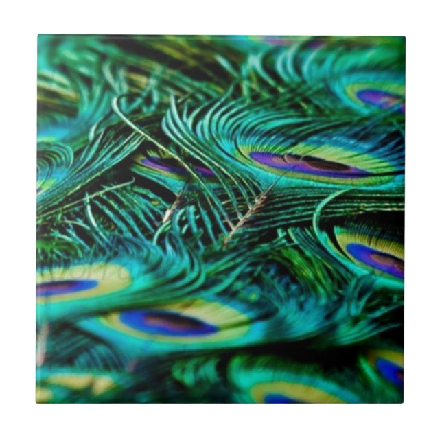 Peacock Feathers Fliese (Vorderseite)