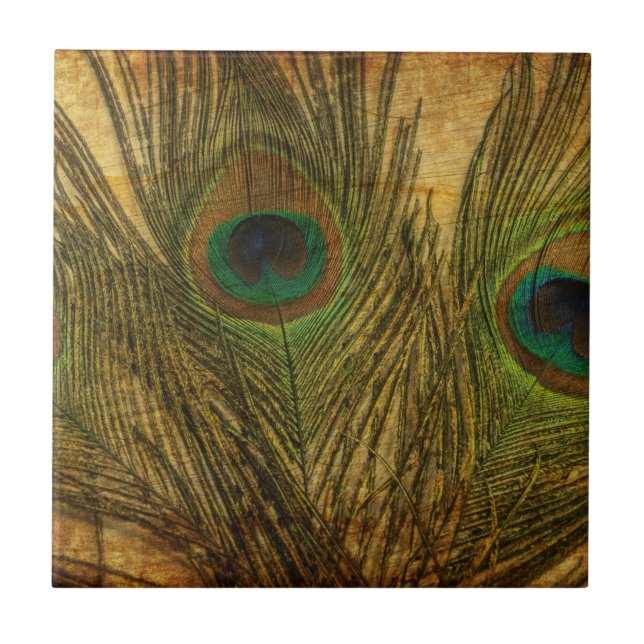 Peacock Feathers Fliese (Vorderseite)
