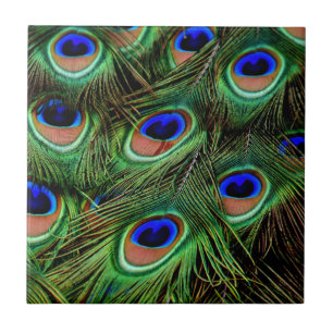 Peacock Feathers Fliese