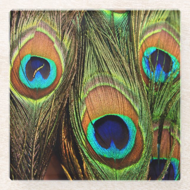 Peacock Feathers Glasuntersetzer (Vorderseite)
