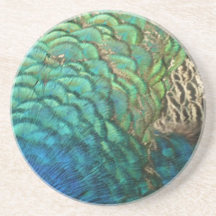 Peacock Feathers I Colorful Abstract Nature Design Sandstein Untersetzer
