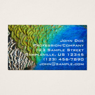 Peacock Feathers IV Colorful Abstrait Nature