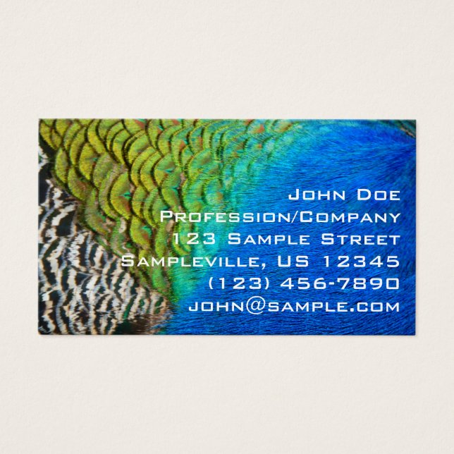 Peacock Feathers IV Colorful Abstrait Nature (Devant)