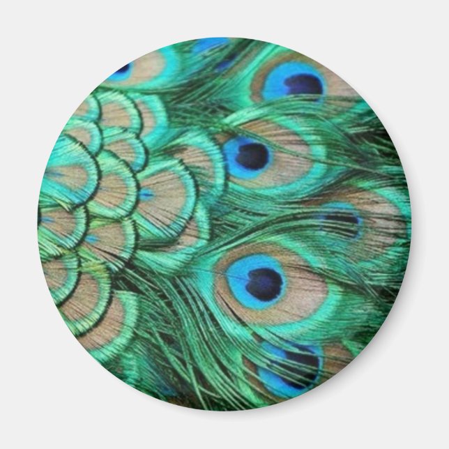 PEACOCK FEATHERS MAGNET (Vorne)