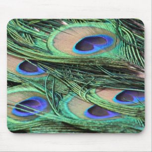 Peacock Feathers Mousepad