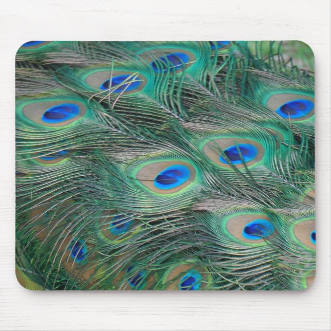 Peacock Feathers Mousepad (Vorne)