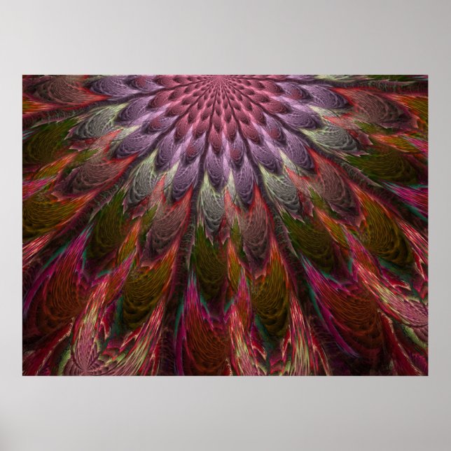 Peacock Feathers Poster (Vorne)
