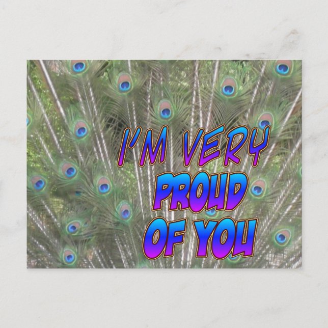 Peacock Feathers Proud Postcard Postkarte (Vorderseite)