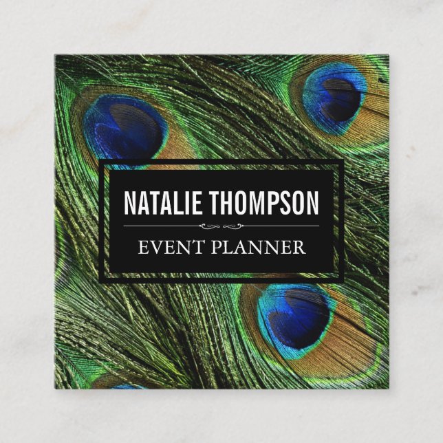 Peacock Feathers Quadratische Visitenkarte (Vorderseite)