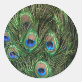 Peacock Feathers Runder Aufkleber