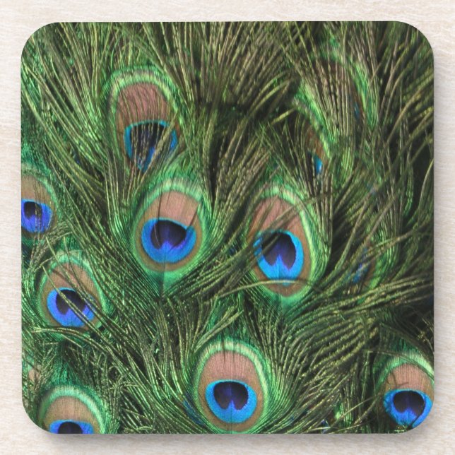 Peacock Feathers Untersetzer (Vorderseite)