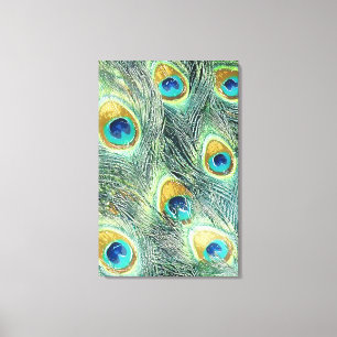 PEACOCK FEATHERS Wrapped Canvas Print Leinwanddruck