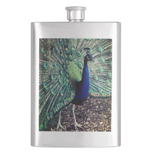 Peacock Flachmann