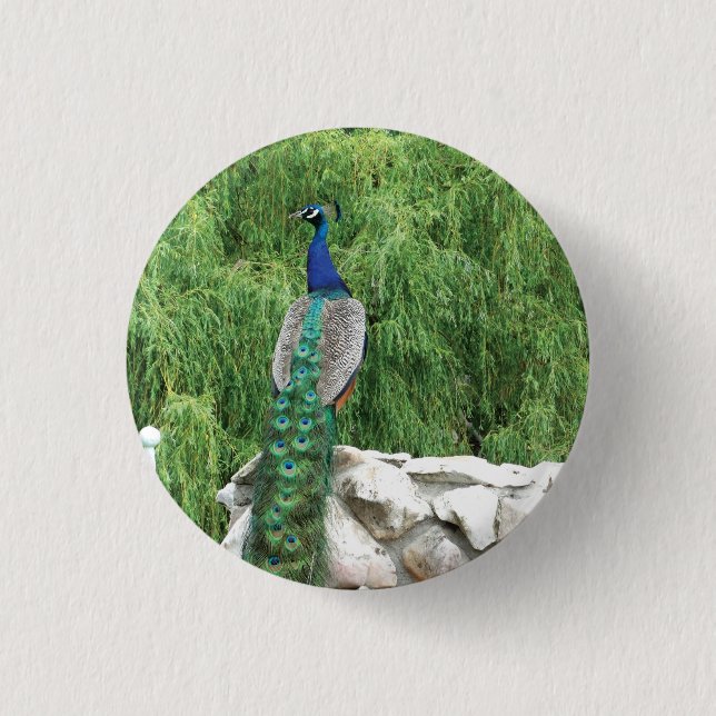 Peacock-Foto-Abzeichen Button (Vorderseite)
