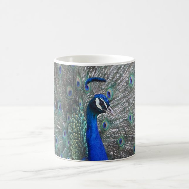 PEACOCK FOTO KAFFEE TASSE (Mittel)
