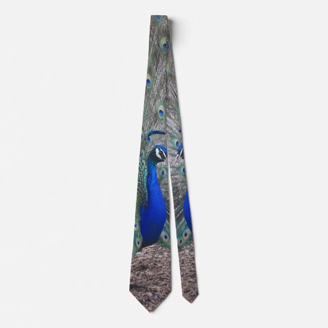 PEACOCK FOTO NECK TIE KRAWATTE (Vorderseite)