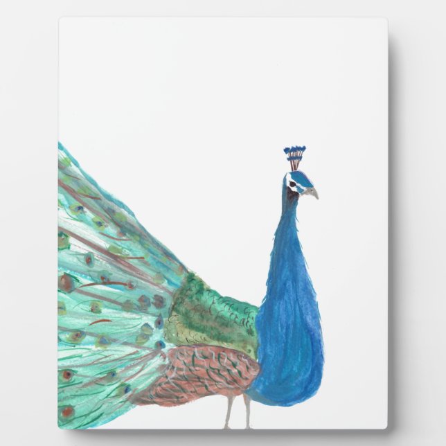 Peacock Fotoplatte (Vorderseite)