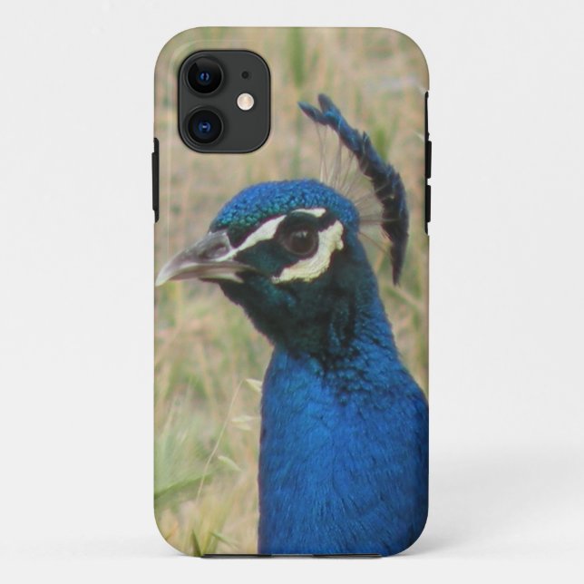 Peacock iPhone 5 Coque (Dos)