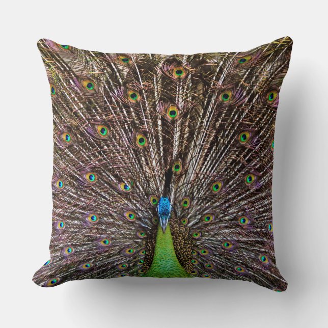 Peacock Kissen (Vorderseite)
