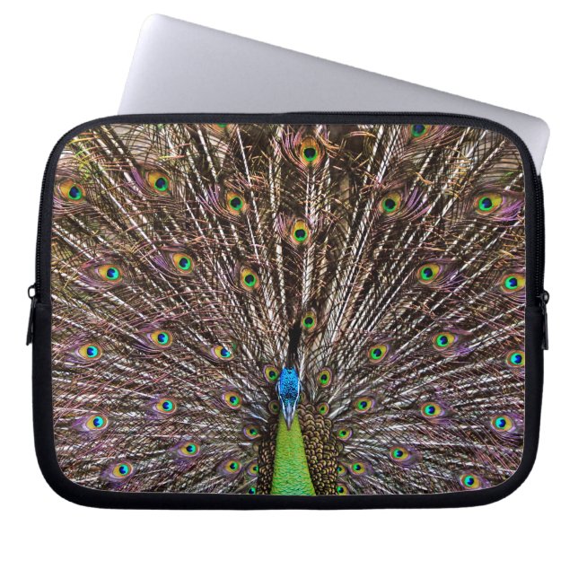 Peacock Laptopschutzhülle (Vorderseite)