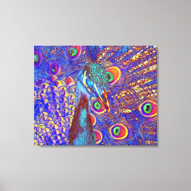 Peacock Leinwanddruck (Vorderseite)