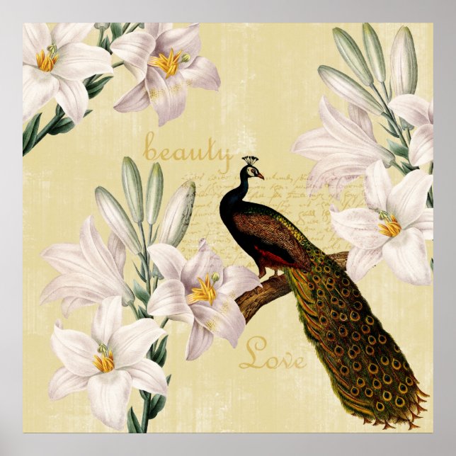 Peacock Lilies Poster (Vorne)