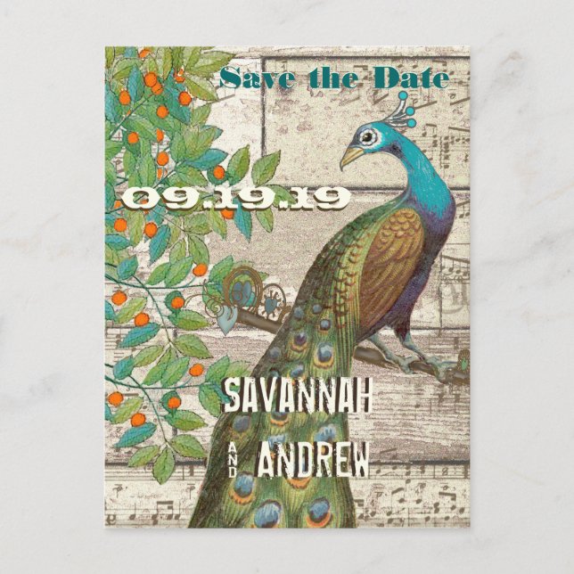 Peacock Love Bird im Baum Save the Date sitzen Ankündigungspostkarte (Vorderseite)