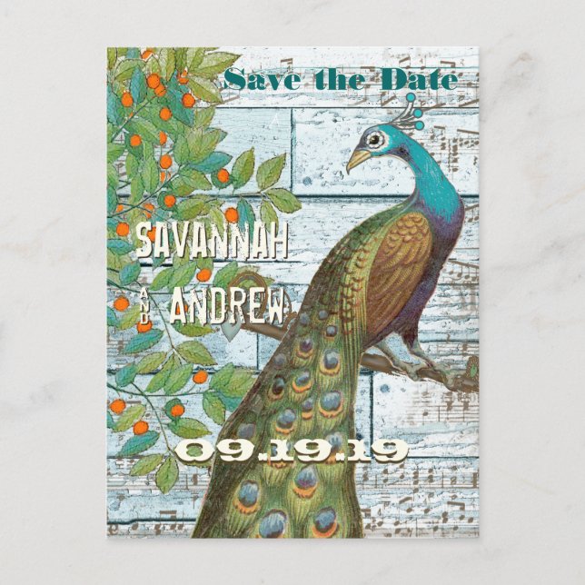 Peacock Love Bird im Baum Save the Date sitzen Ankündigungspostkarte (Vorderseite)