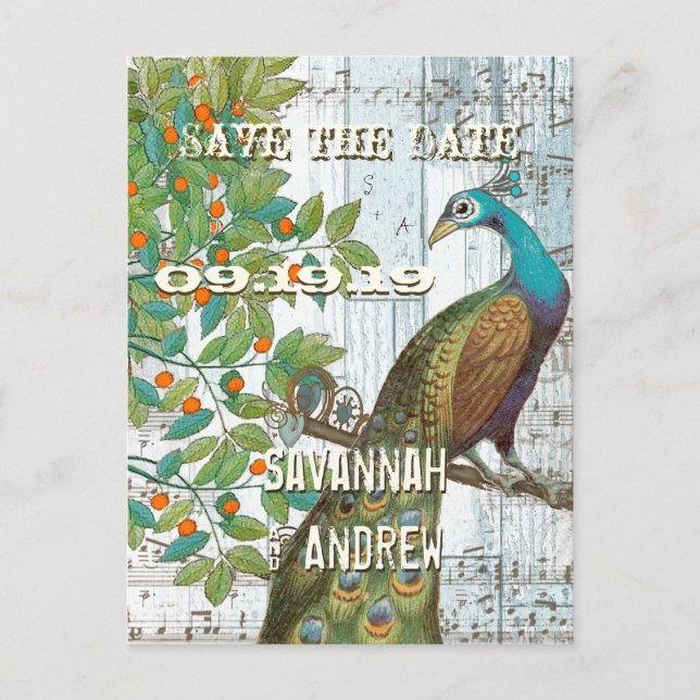 Peacock Love Bird im Baum Save the Date sitzen Ankündigungspostkarte (Vorderseite)