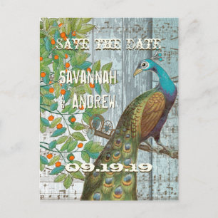 Peacock Love Bird im Baum Save the Date sitzen Ankündigungspostkarte