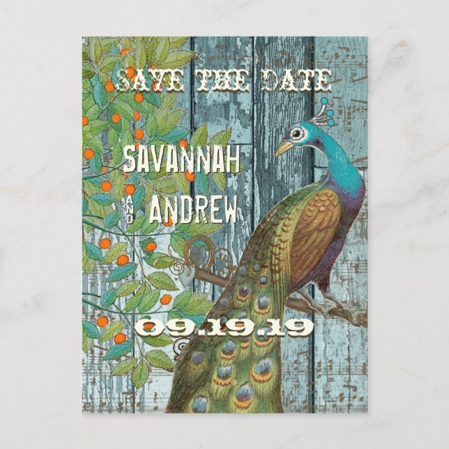 Peacock Love Bird im Baum Save the Date sitzen Ankündigungspostkarte (Vorderseite)