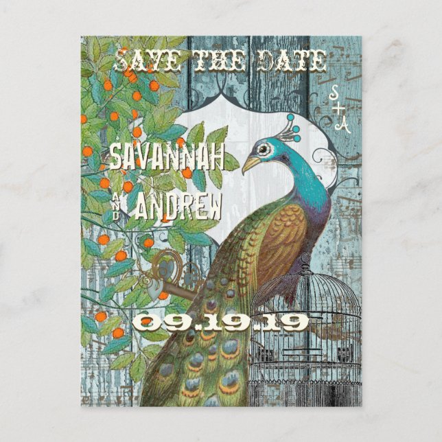 Peacock Love Bird im Baum Save the Date sitzen Ankündigungspostkarte (Vorderseite)