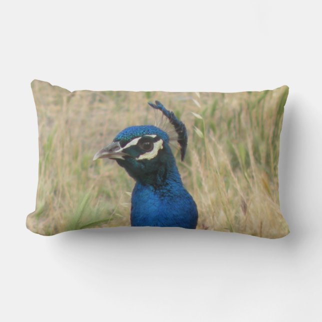Peacock Lumbar Pillow Lendenkissen (Vorderseite)