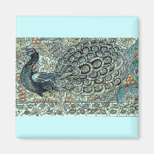 Peacock Magnet