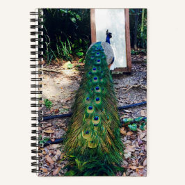 Peacock Mirror Mirror Hard Cover Notebook Notizbuch
