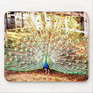 Peacock Mouse Pad Mousepad