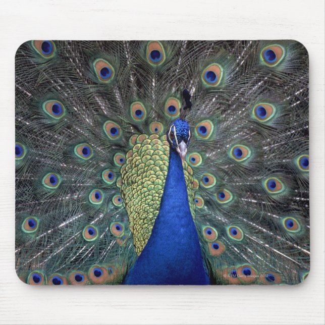 Peacock Mousepad (Vorne)