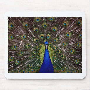 Peacock Mousepad
