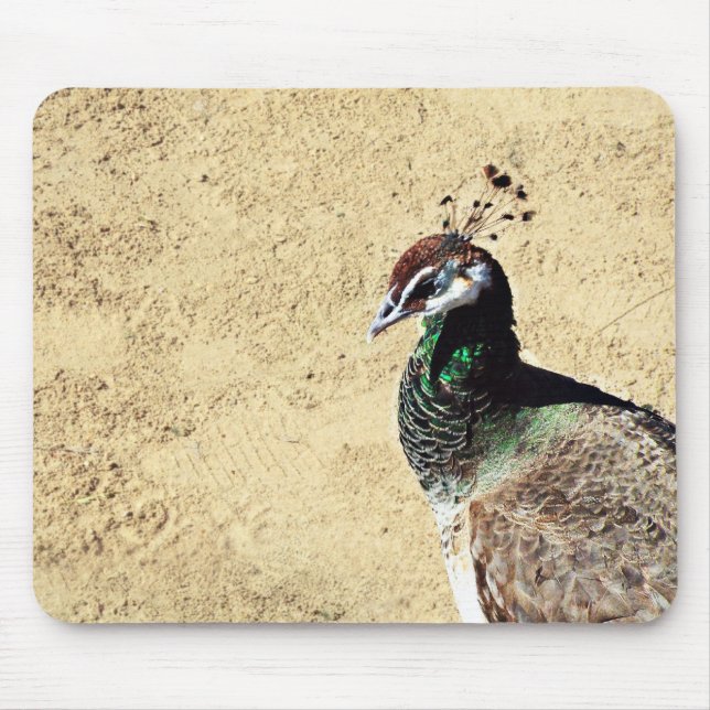 Peacock Mousepad (Vorne)
