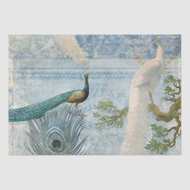Peacock n Feathers Dekoupage des blauen und weißen Seidenpapier (Vorderseite)