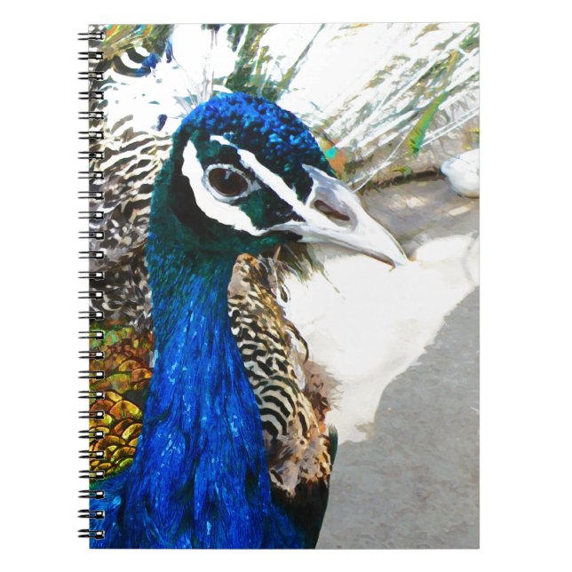 Peacock Notizblock (Vorderseite)